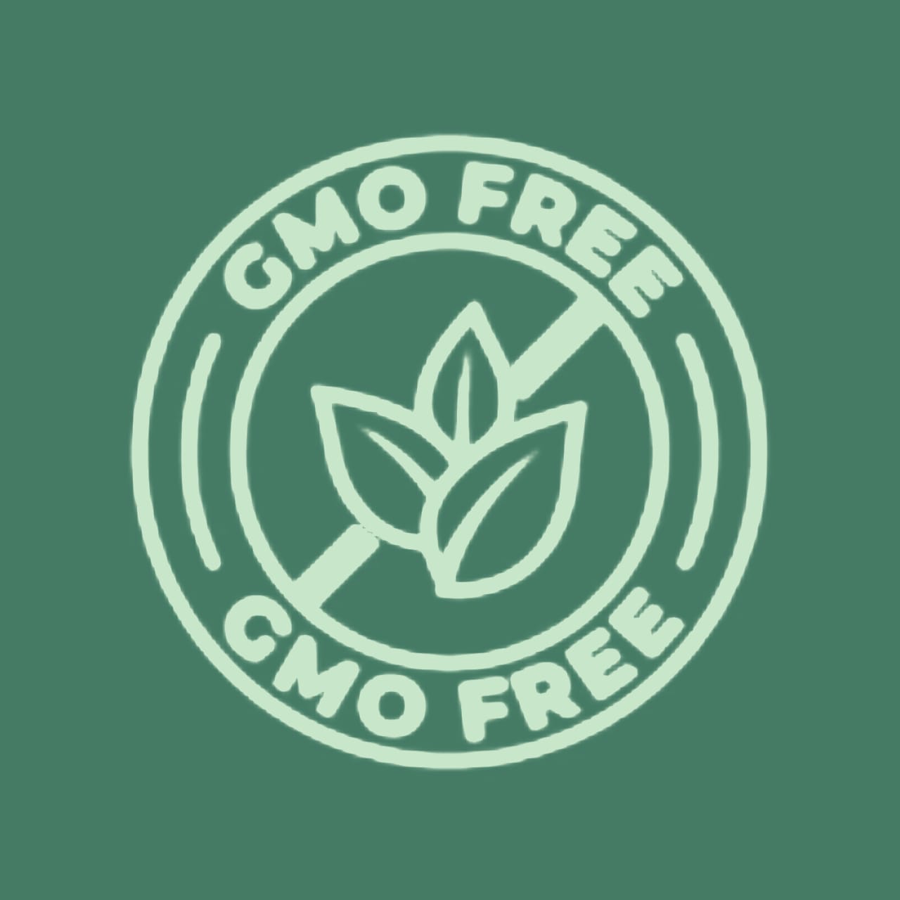 WhatsApp Image 2025-11-28 at 21.36.54 (1)